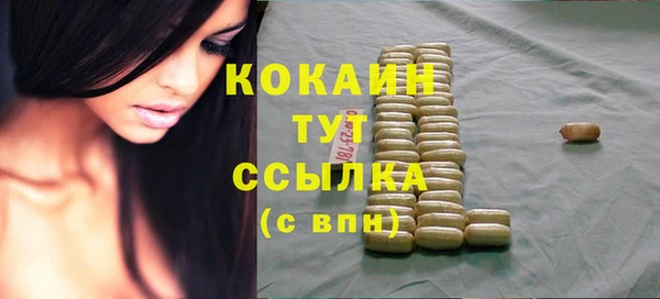 шишки Волоколамск