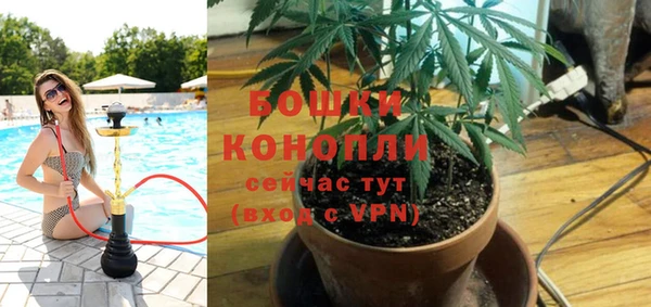 стаф Верхний Тагил