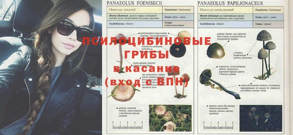 кокаин Верея