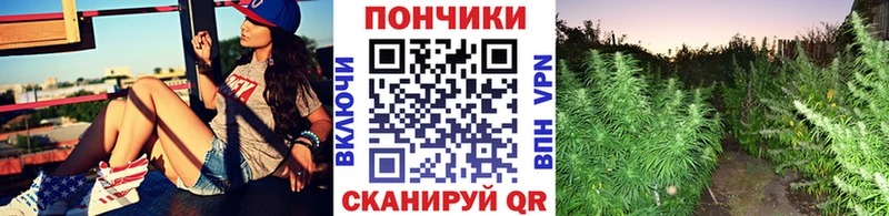 наркошоп  Нелидово  mega tor  Канабис гибрид 